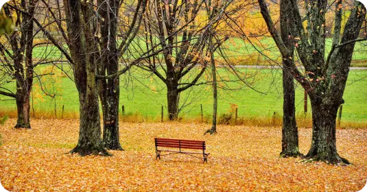 Прогулки на свежем воздухе в пансионате Hospice